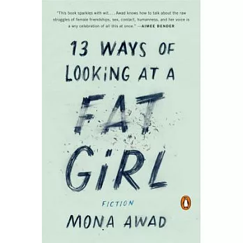 13 Ways of Looking at a Fat Girl: Fiction