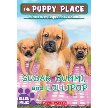 Sugar, Gummi, and Lollipop /
