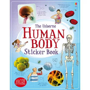 Human Body Sticker Book