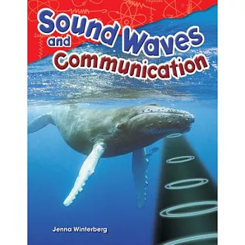 Sound Waves and Communication