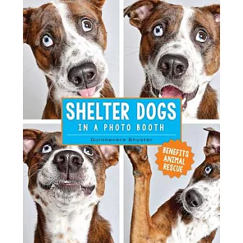Shelter Dogs in a Photo Booth