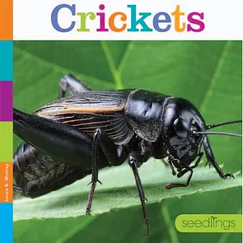 Crickets: Seedlings