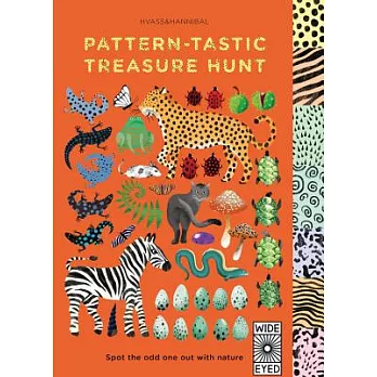 Pattern-Tastic Treasure Hunt: Spot the Odd One Out with Nature