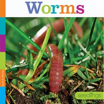 Worms: Seedlings