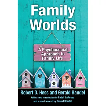 Family Worlds: A Psychosocial Approach to Family Life