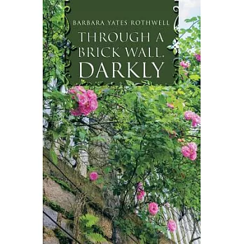 Through a Brick Wall, Darkly
