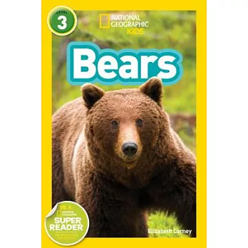 Bears /