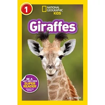 Giraffes /