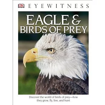 Eagles & Birds of Prey