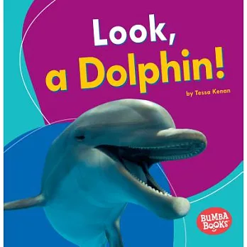 Look, a Dolphin!