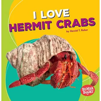 I Love Hermit Crabs