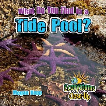 What do you find in a tide pool? /