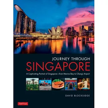 Journey Through Singapore: A Captivating Portrait of Singapore - From Marina Bay to Changi Airport