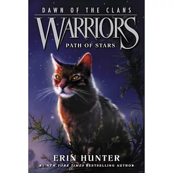 Warriors, Dawn of the clans: Path of stars /
