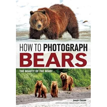 How to Photograph Bears: The Beauty of the Beast