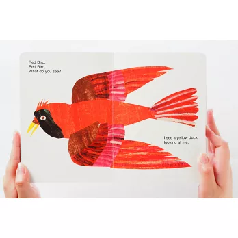 博客來-Brown Bear & Friends Gift Set