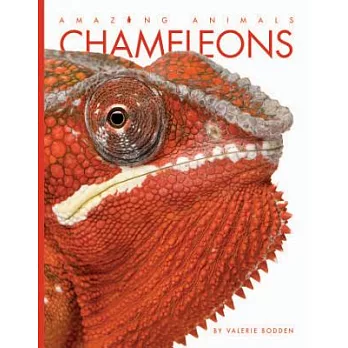 Chameleons