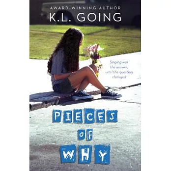 Pieces of Why
