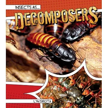 Insects As Decomposers