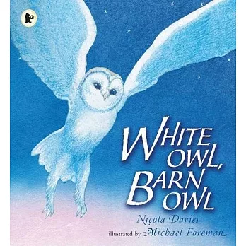 White owl, barn owl /