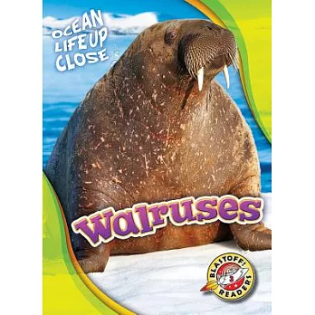 Walruses