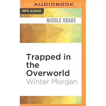 Trapped in the Overworld