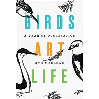 Birds Art Life: A Year of Observation
