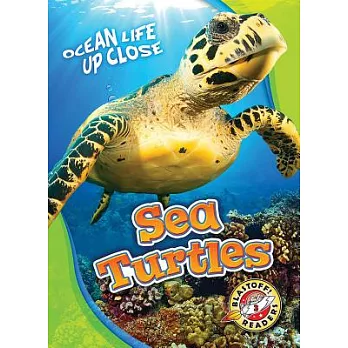 Sea turtles /