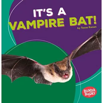 It’s a Vampire Bat!
