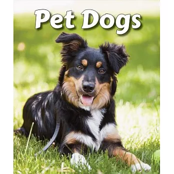 Pet Dogs