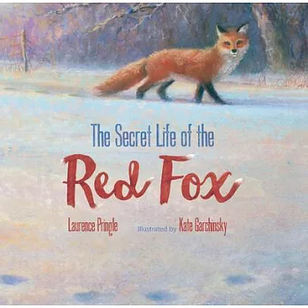 The secret life of the red fox /