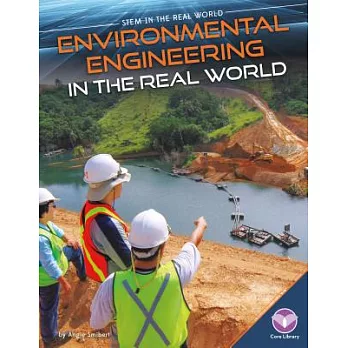 Environmental Engineering in the Real World