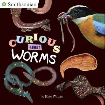 Curious about worms /