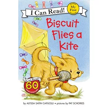 Biscuit flies a kite /