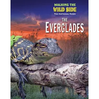 The Everglades /