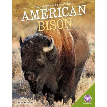 American Bison