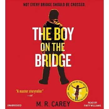 The Boy on the Bridge: Library Edition