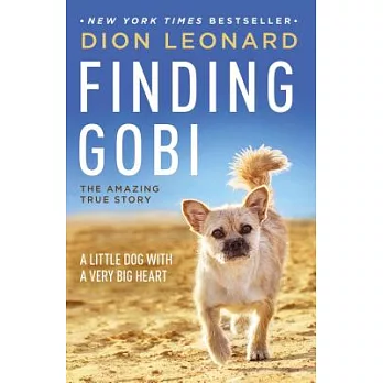 Finding Gobi: A Little Dog with a Very Big Heart