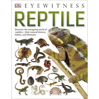 Reptile /
