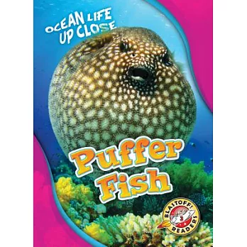 Puffer fish /