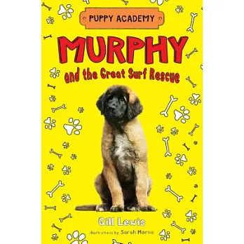 Murphy and the great surf rescue /