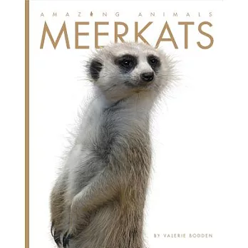 Meerkats