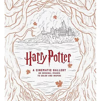 Harry Potter: A Cinematic Gallery: 80 Original Images to Color and Inspire