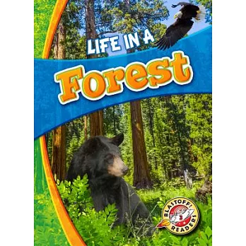 Life in a forest /