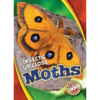 Moths /