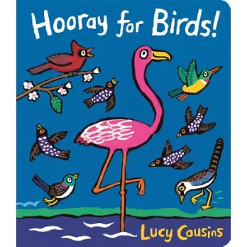 Hooray for Birds!