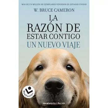 La Razon de Estar Contigo. Un Nuevo Viaje