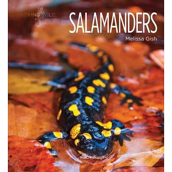 Salamanders /