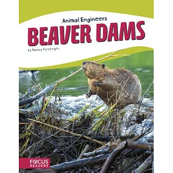 Beaver Dams /