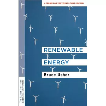 Renewable energy : a primer for the twenty-first century /